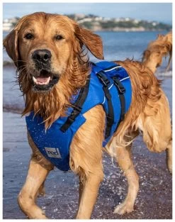 Red Paddle Co. Red Paddle Co Dog Buoyancy Aid -Watersporten Verkoopwinkel red paddle co dog buoyancy aid blue xs 330 480 mm blue 6