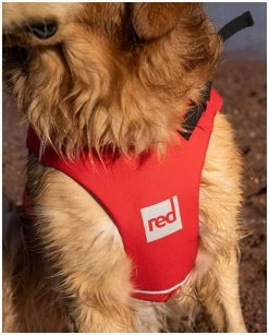 Red Paddle Co. Red Paddle Co Dog Buoyancy Aid -Watersporten Verkoopwinkel red paddle co dog buoyancy aid red 5 1