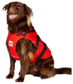 Red Paddle Co. Red Paddle Co Dog Buoyancy Aid -Watersporten Verkoopwinkel red paddle co dog buoyancy aid xs 330 480 mm red 4